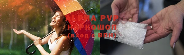 PSILOCYBIN Верея