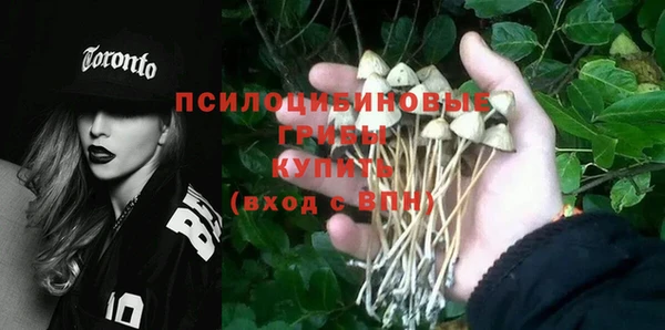 PSILOCYBIN Верея